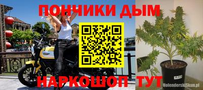 спайс Кингисепп
