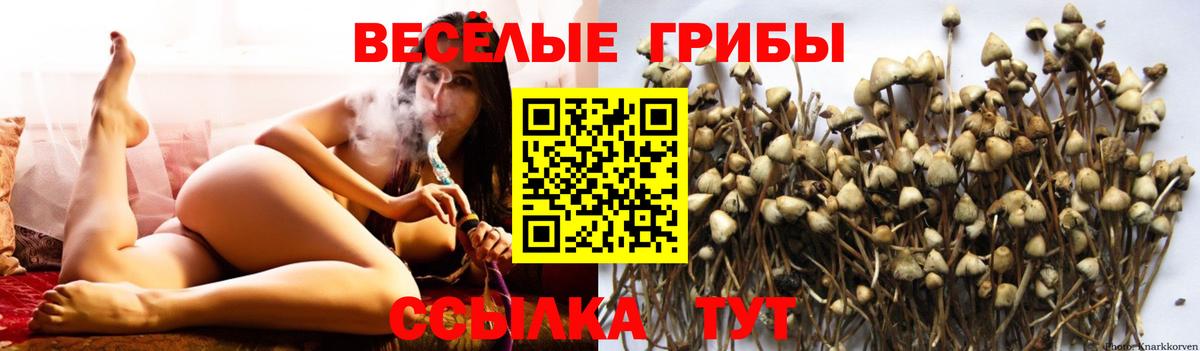 Галлюциногенные грибы Magic Shrooms  Вход с VPN  Ликино-Дулёво 
